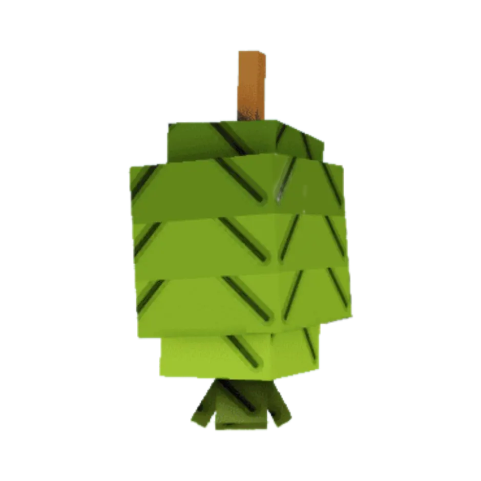 Feijoa